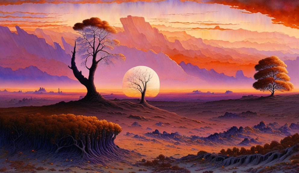 Scenic sunrise landscape with colorful skies and silhouetted trees