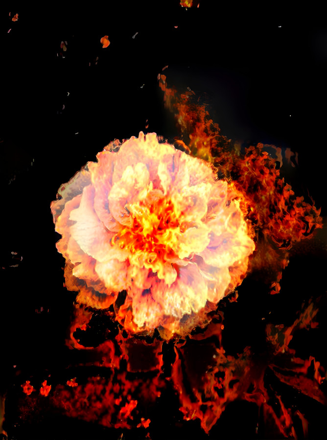 Flame or Flower