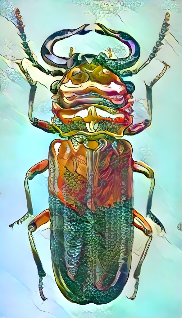 Hexapodacolori