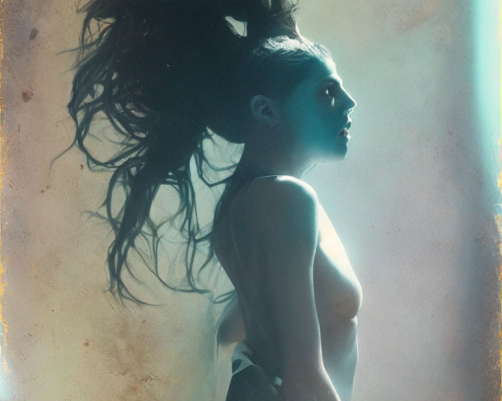 Silhouette of a Woman with Flowing Hair and Moody Backlighting