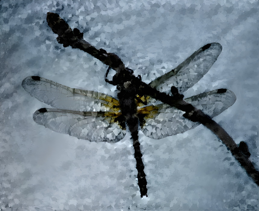 Dragon Fly II