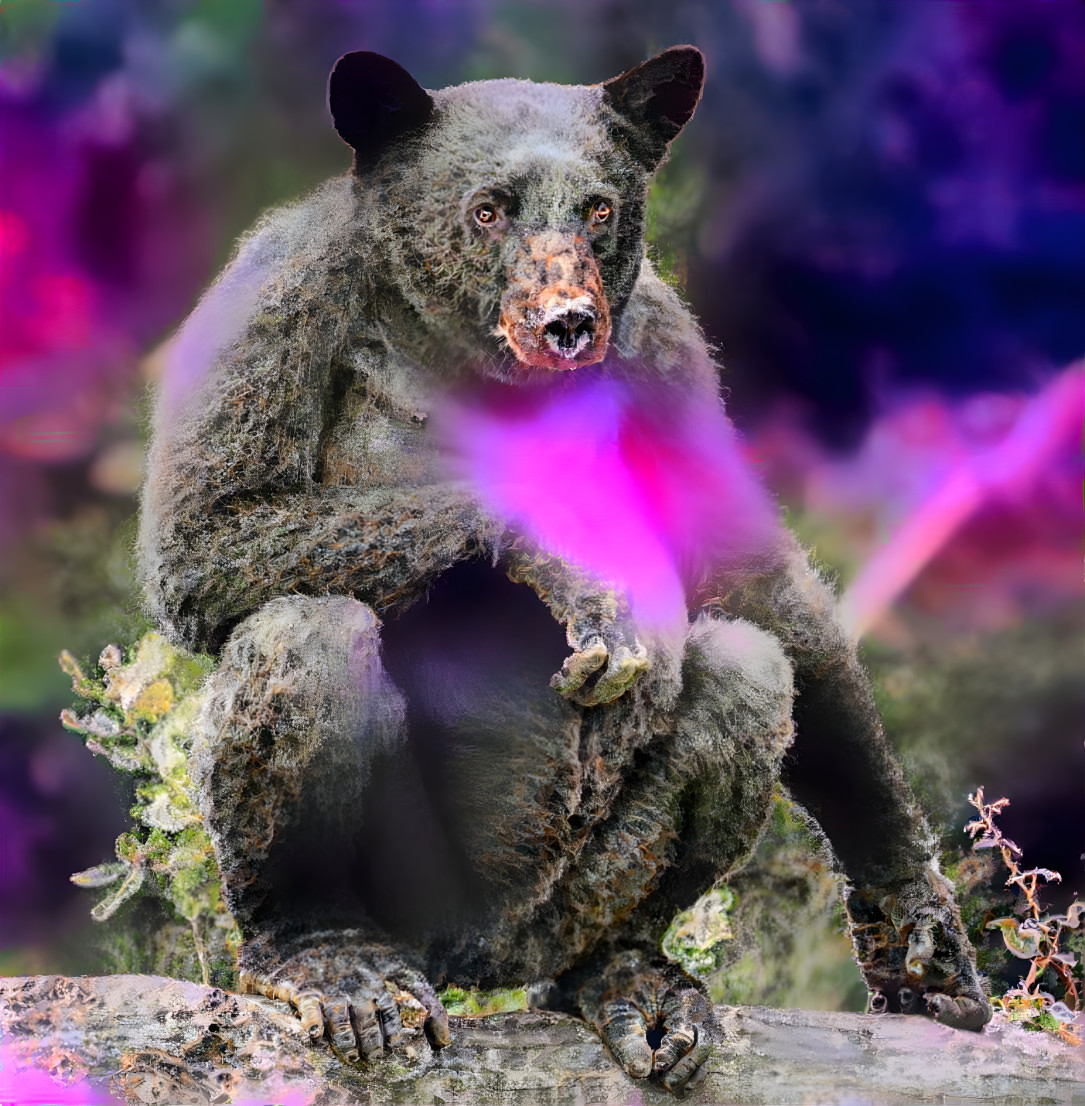 Gorillabearweed