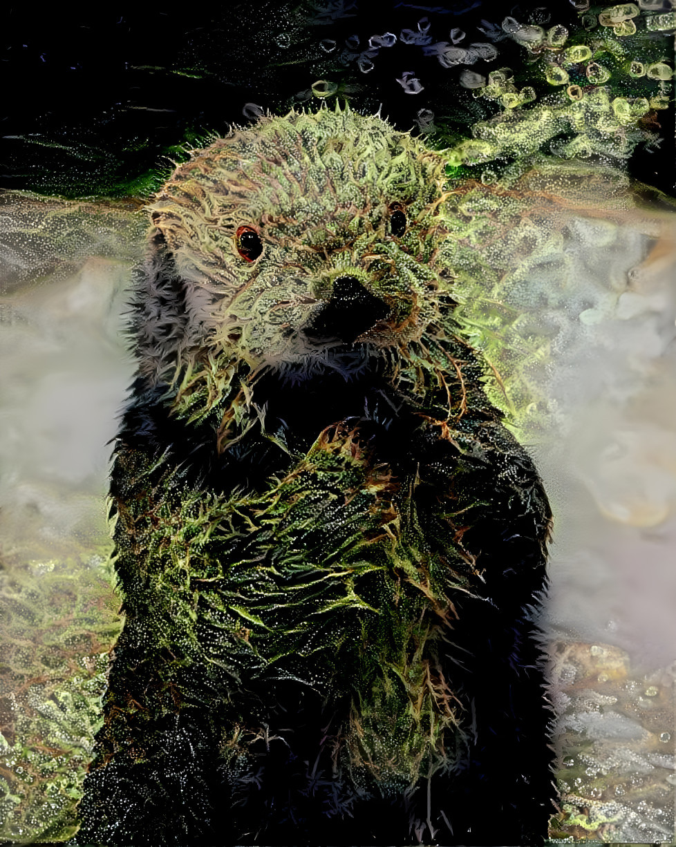 Weed otter