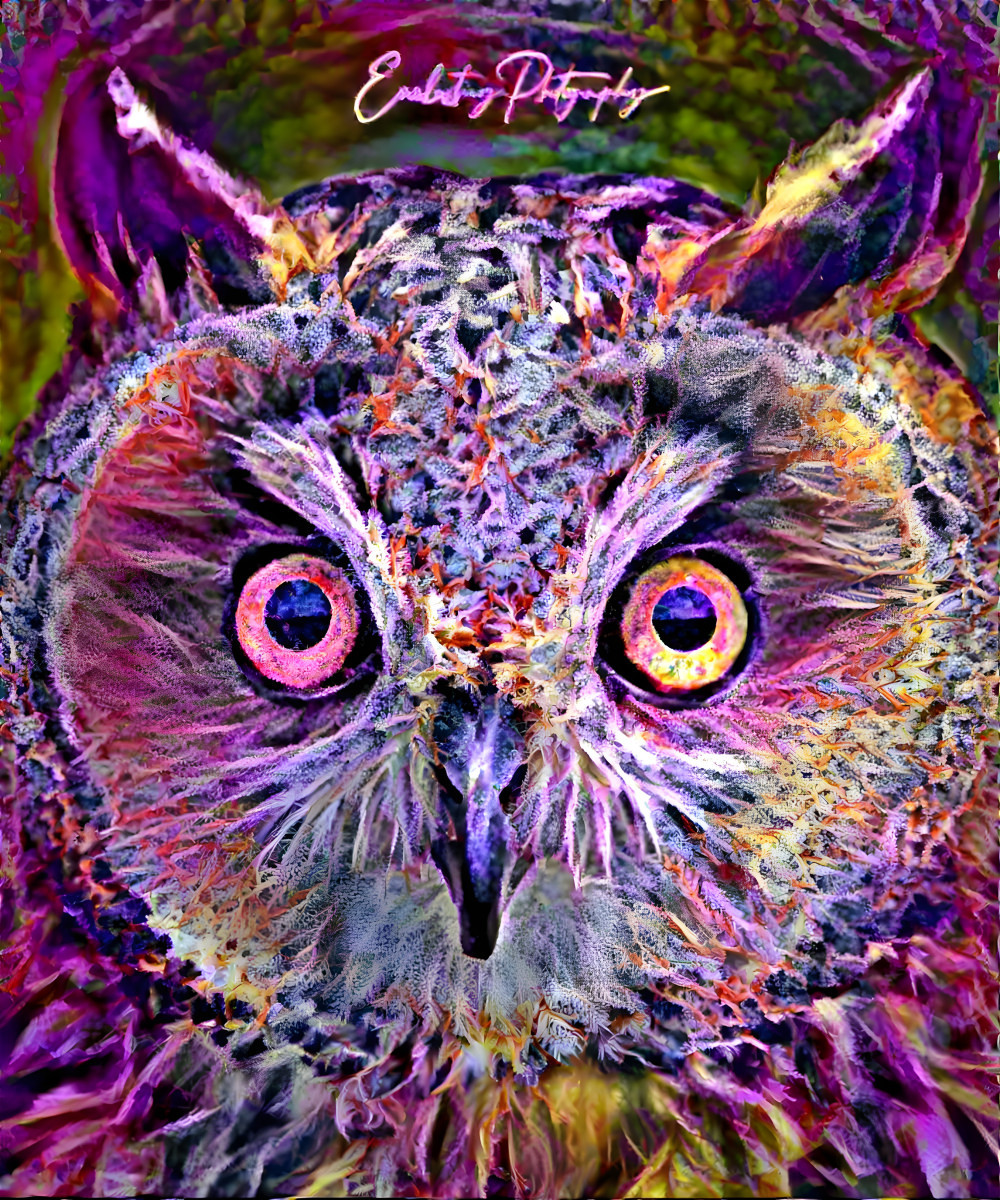 Trippyweedowl