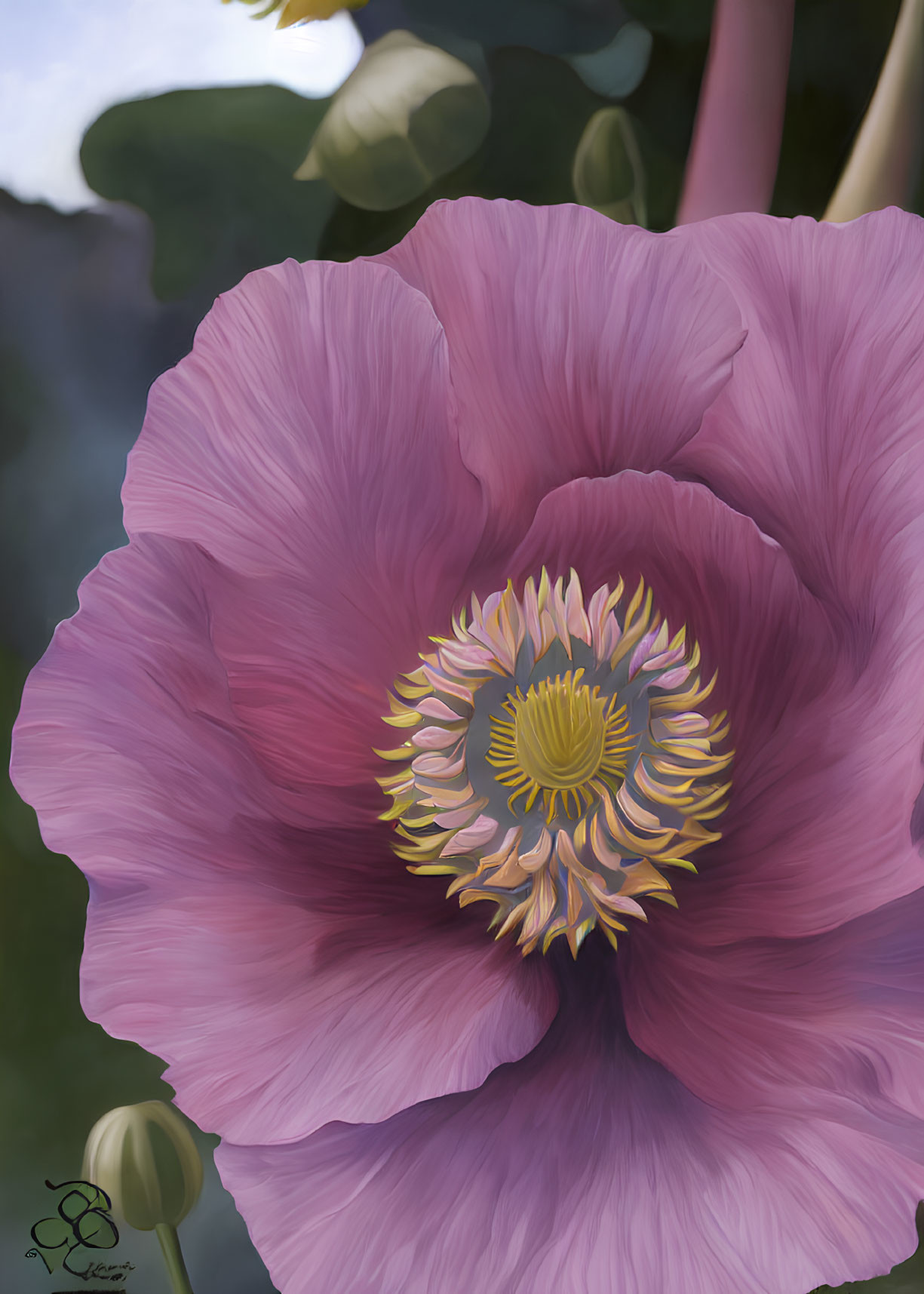 Detailed Illustration of Large Pink Blossom with Multilayered Petals and Complex Yellow-Green