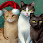 Three Cats with Festive Background: Orange Tabby, Black & White, Black Cat, One in