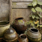 Colorful Floral Pots Against Pink Wall: Rich Patterns & Textures