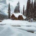 Winter landscape: ice skating on frozen pond, cozy cottage, snow-covered trees, birds in sky