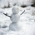 Cheerful snowman with carrot nose in snowy field