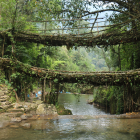 Tranquil river scene with canoe under rustic bridge, surrounded by trees and observer