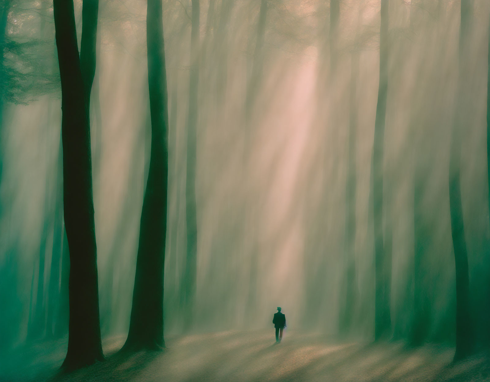 Mysterious figure walking in sunlit foggy forest