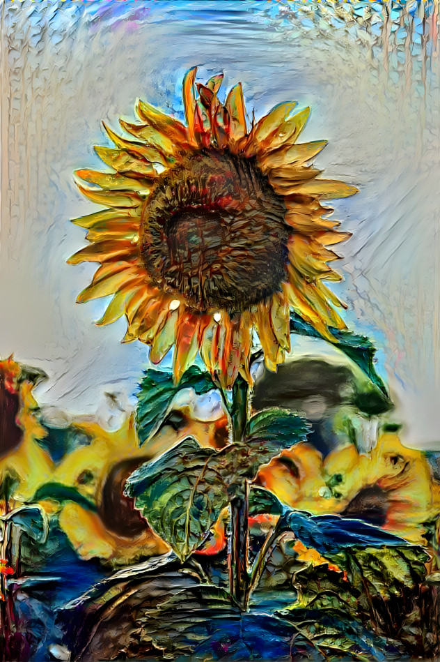 Sunflower Beauty 