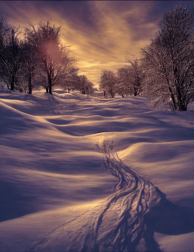 Snowy Landscape at Sunset/Sunrise with Long Shadows