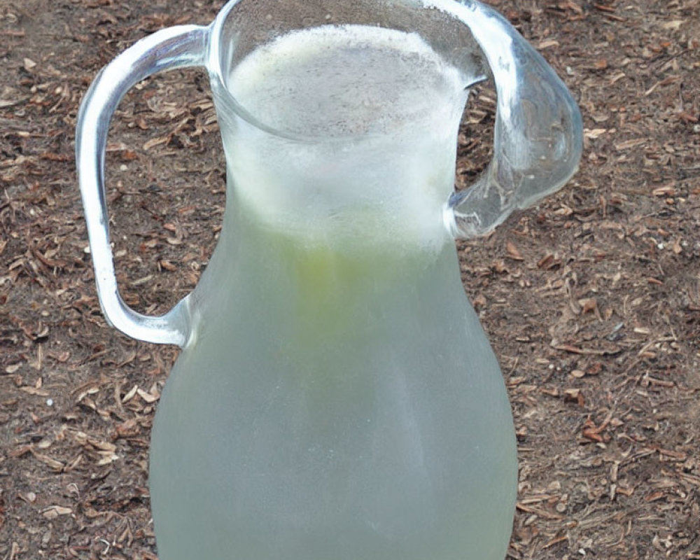 Cloudy Pale Green Beverage in Glass Pitcher Outdoors