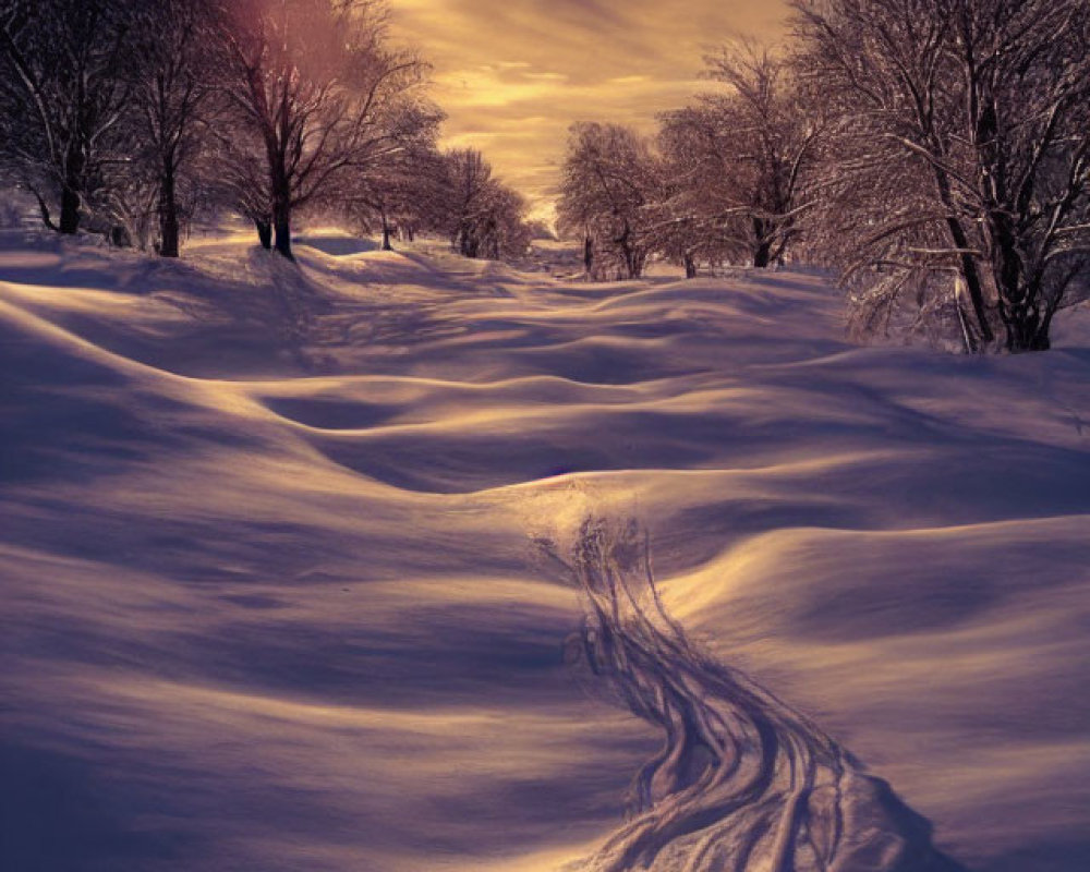 Snowy Landscape at Sunset/Sunrise with Long Shadows