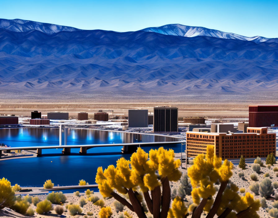 Panoramic view of lake, bridges, city buildings, mountains, and large cactus