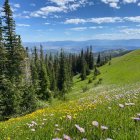 Tranquil lake under partly cloudy sky with lush green hillside