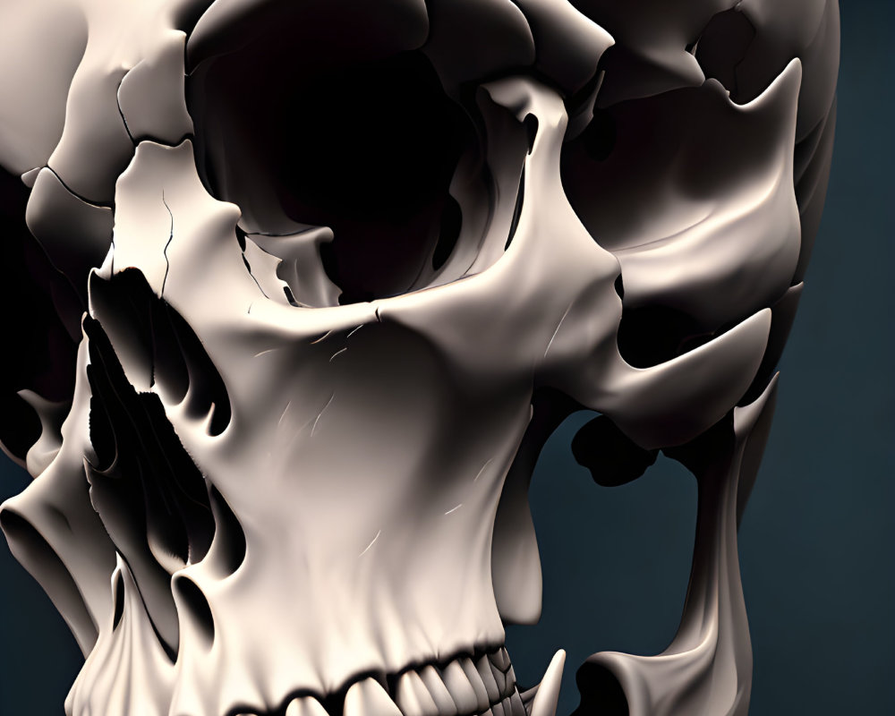 Detailed close-up of human skull with shadows on dark background