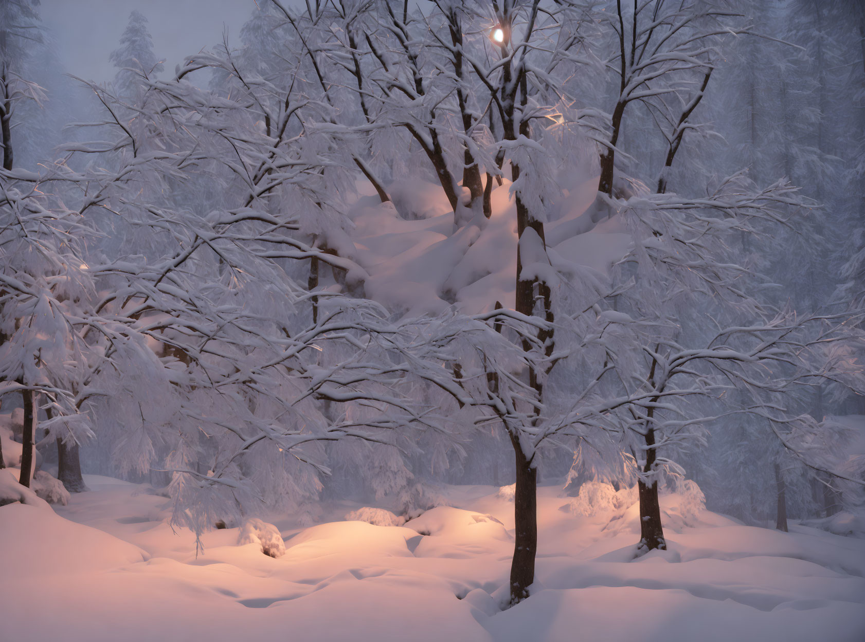 Tranquil winter forest with snow-laden trees and soft light filtering through branches