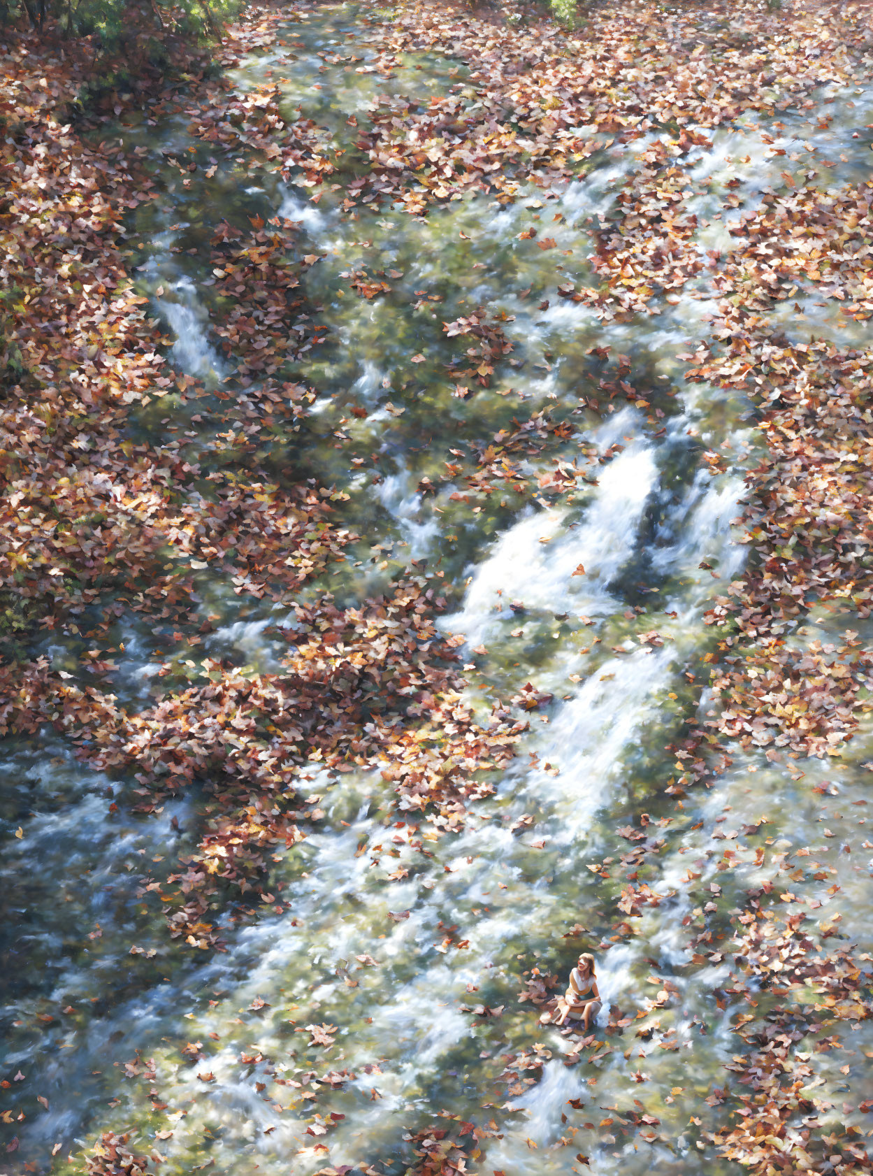 Person walking on autumn leaf-covered path with long shadow in forest sunlight