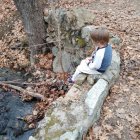 Tranquil Autumn Riverbed with Stones and Orange Trees