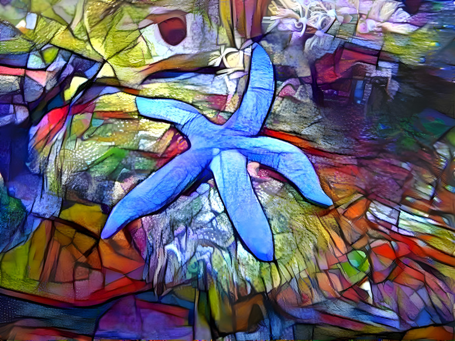 starfish