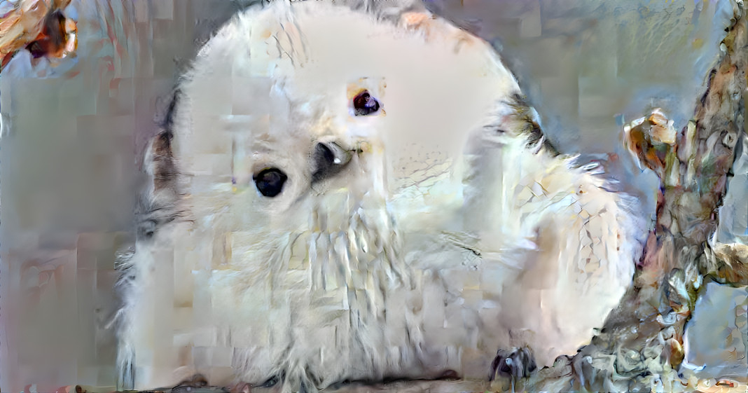 Cottonball