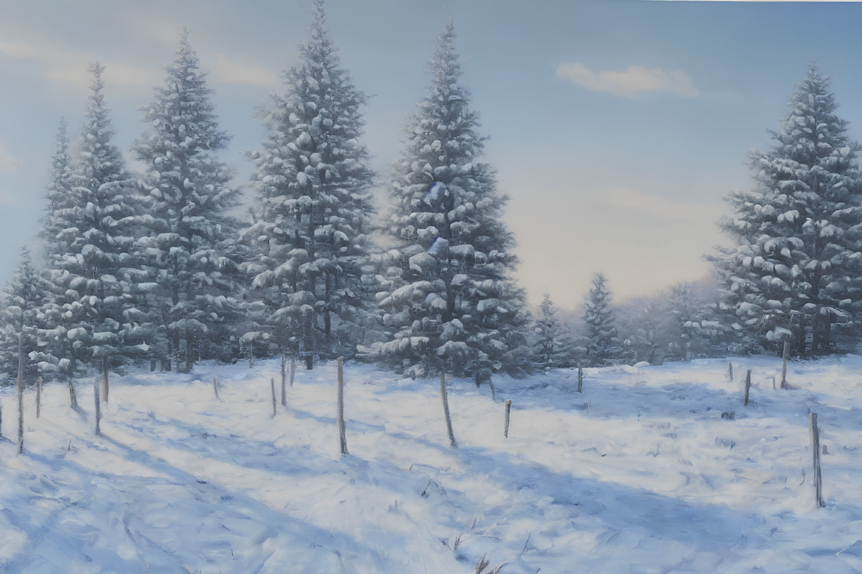 Snow-covered pine trees in serene winter landscape