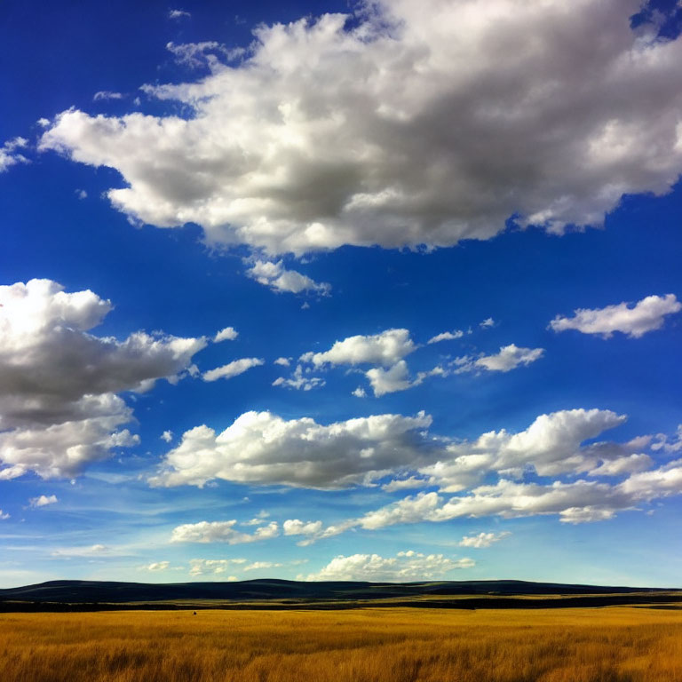 Golden Field Landscape Under Blue Sky with White Clouds