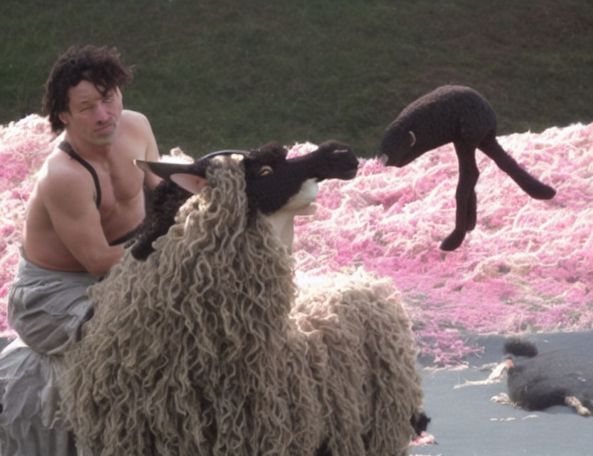 Man hugging sheep on pink grass with surprised expression