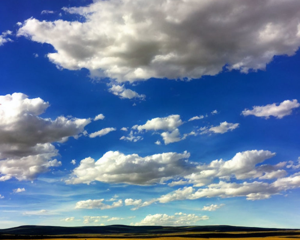 Golden Field Landscape Under Blue Sky with White Clouds