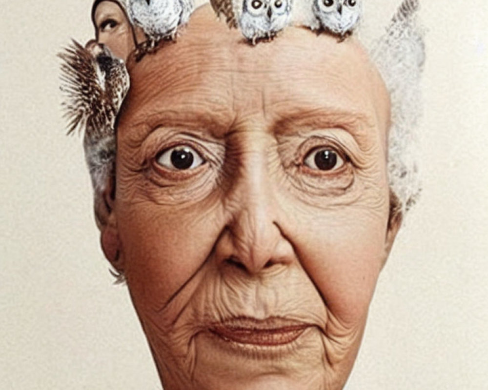 Elderly woman with serene expression and lifelike owls in textured hair