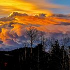 Intense fiery explosion over silhouetted trees at dusk