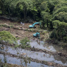 Crowded River Bank with Dense Foliage and Colorful Kayaks