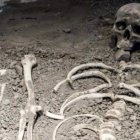 Eerie Human Skull on Desolate Ground with Bone-like Tendrils