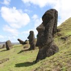 Moai statues on grassy plain under blue sky