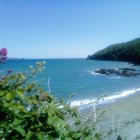 Colorful Watercolor Beach Scene with Foliage, Flowers, Gazebo, Birds, and