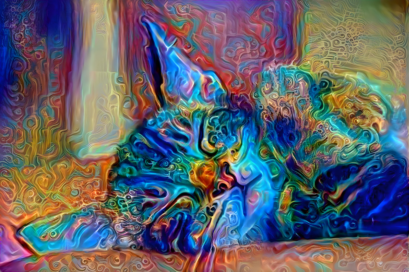 “Trippy Kitty”