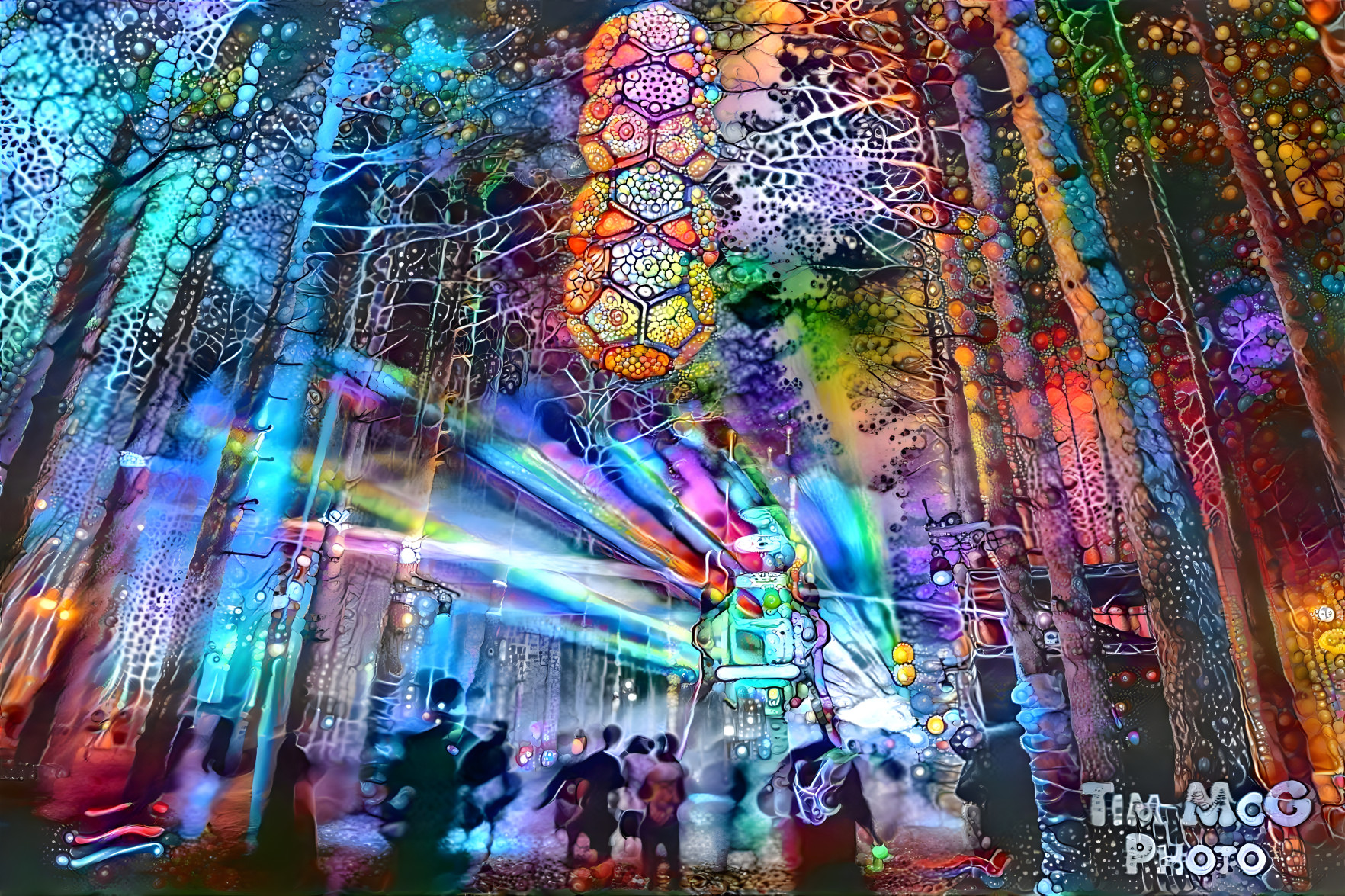 Electric Forest