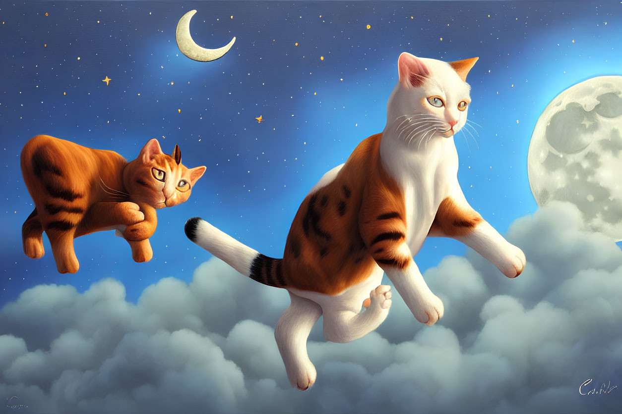 Whimsical cats in night sky with stars and moons