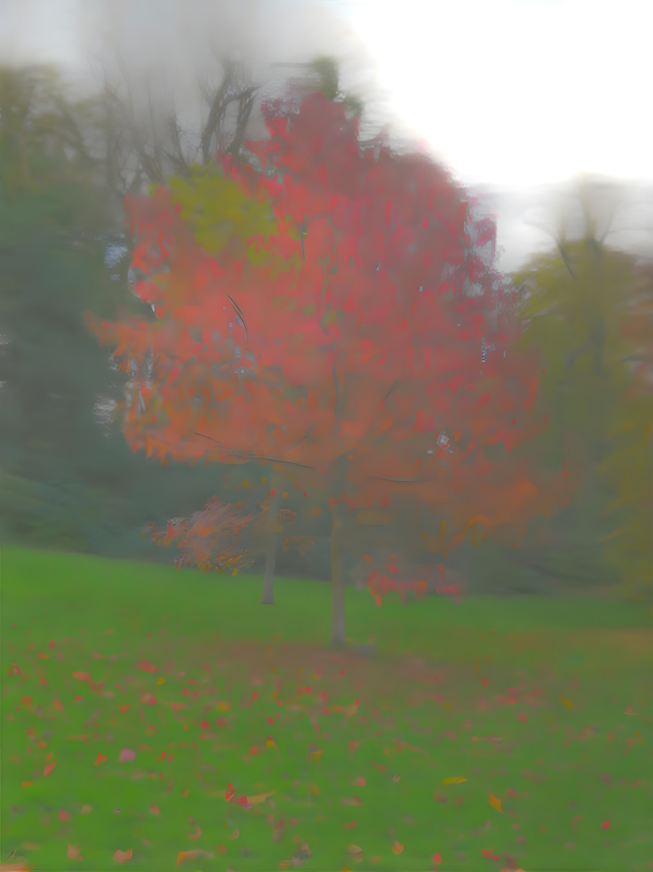 Cloudy Branches 