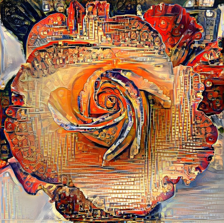 old rose