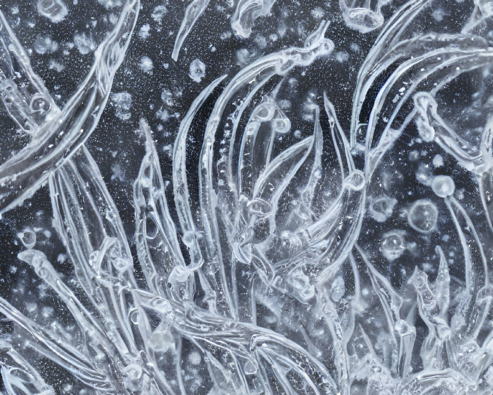 Detailed Ice Crystal Pattern with Feathery Structures and Frozen Bubbles