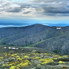 Rocky Mountain Peaks with Snow Patches and Vibrant Yellow Lichen