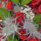 Close-up view of red and white rose bouquet with green leaves and white filler flowers