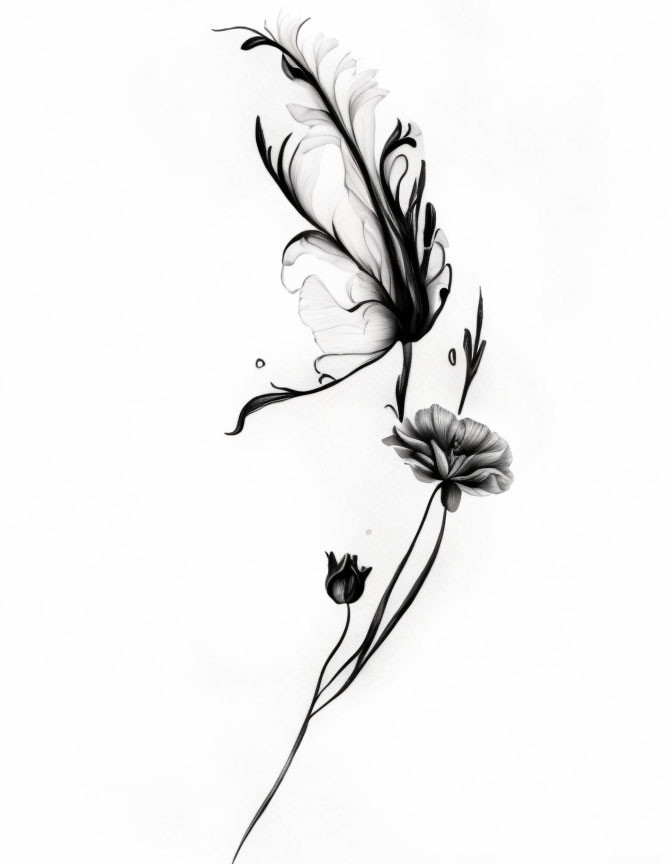 Monochrome butterfly and flower illustration with elegant lines