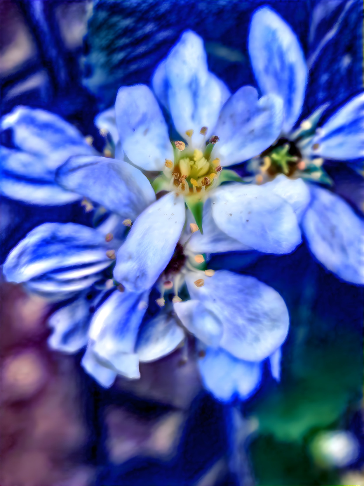 Blue Delft Blossoms