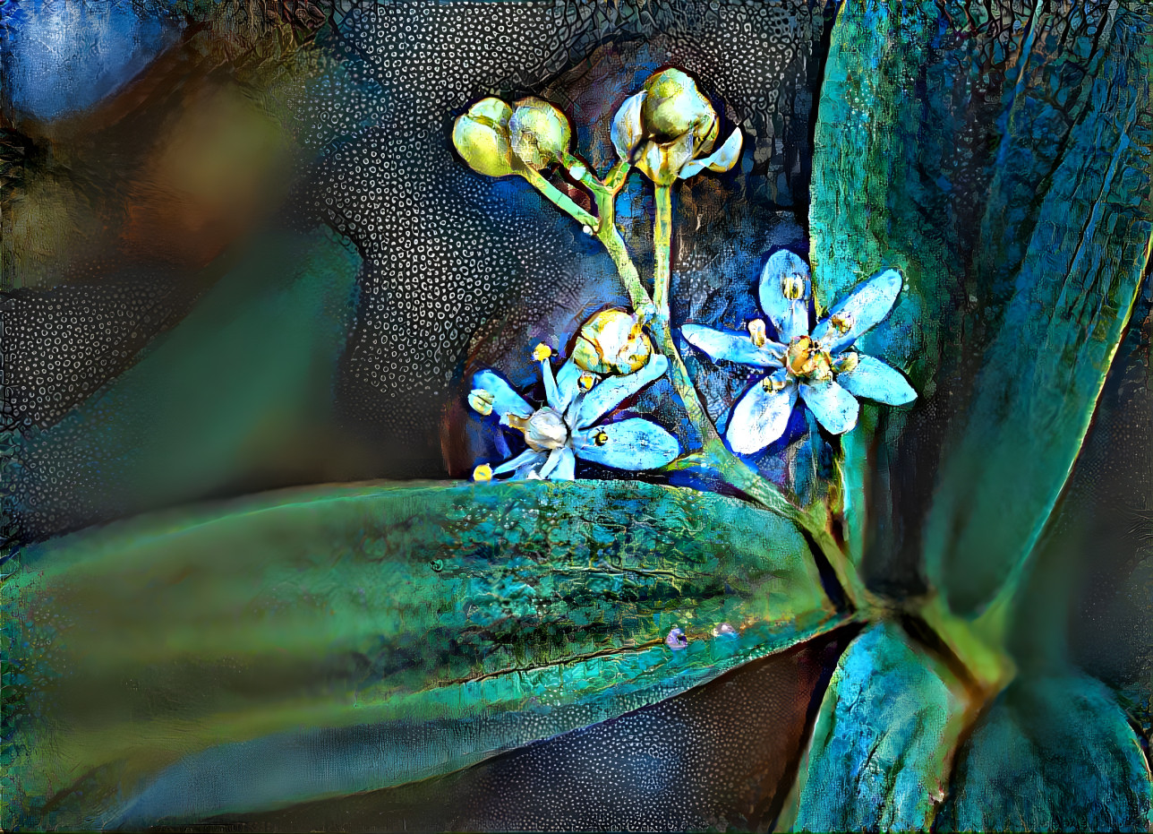 Tiny flowers