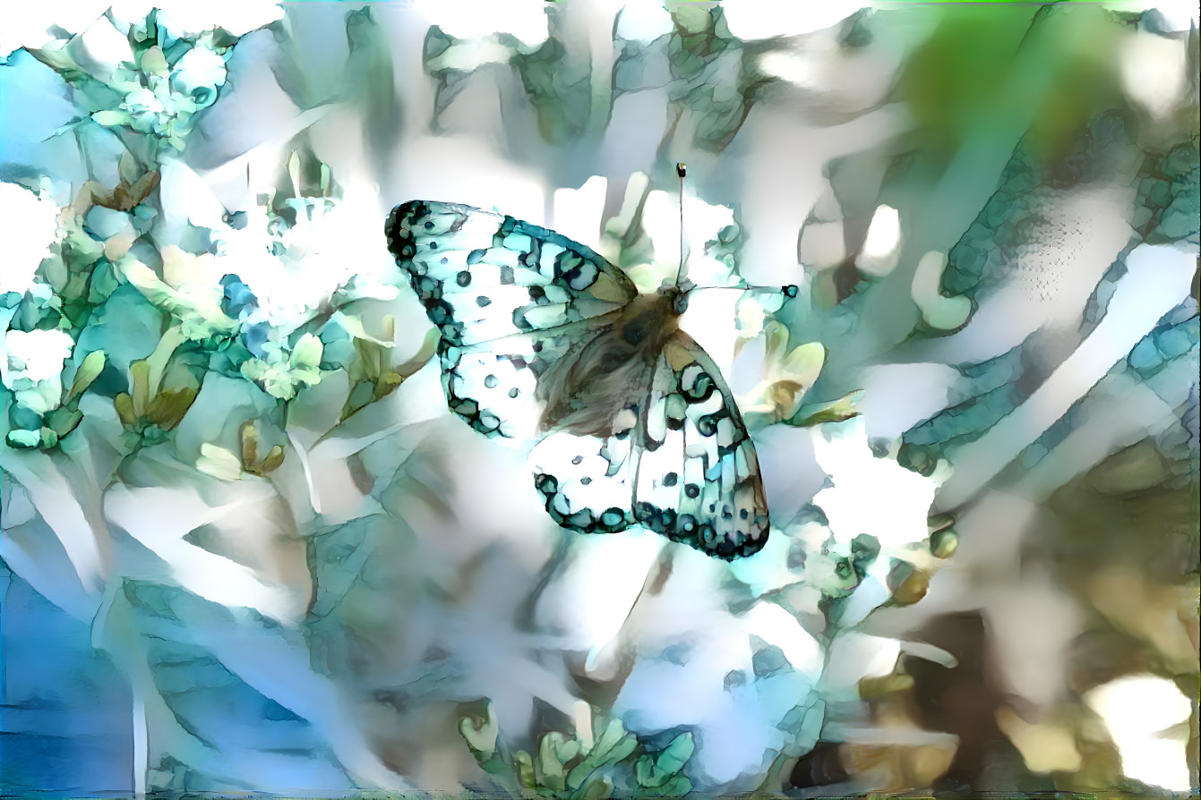 Blue butterfly