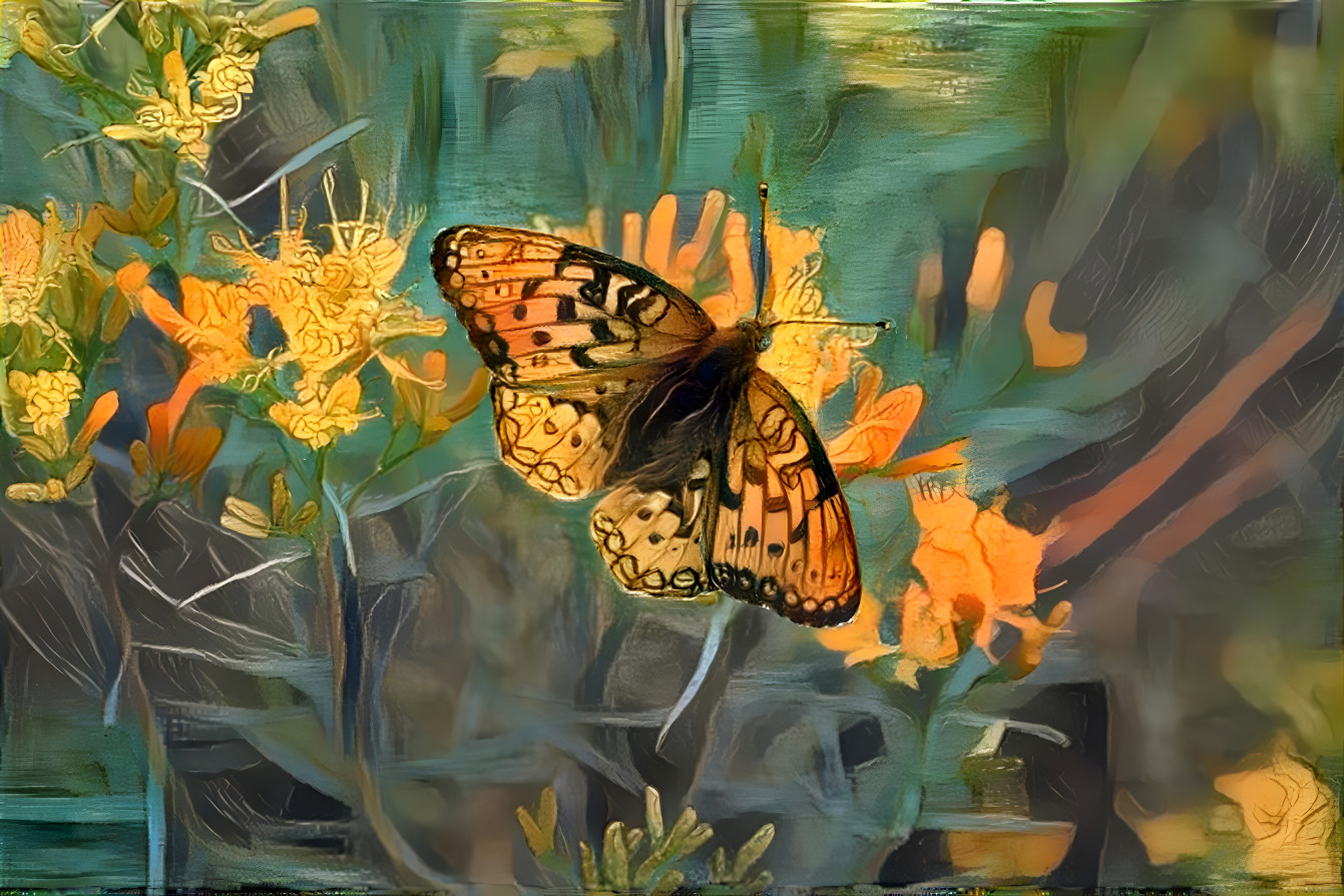 Butterfly